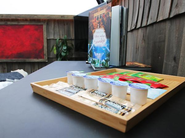 Aurora Pyramid Glass Igloos : photo 9 de la chambre chambre deluxe double ou lits jumeaux