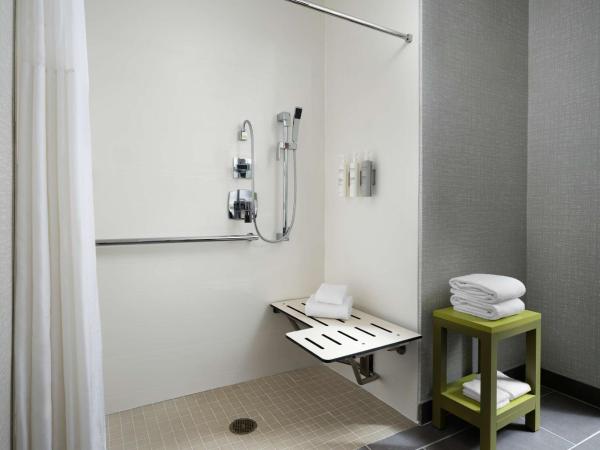 Hampton Inn San Diego/Del Mar : photo 4 de la chambre chambre lit king-size avec douche accessible en fauteuil roulant -adaptée aux personnes à mobilité réduite/malentendantes - non-fumeurs