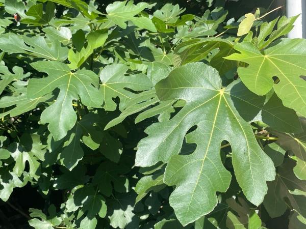 Hotel Bończa : photo 6 de la chambre chambre lits jumeaux deluxe