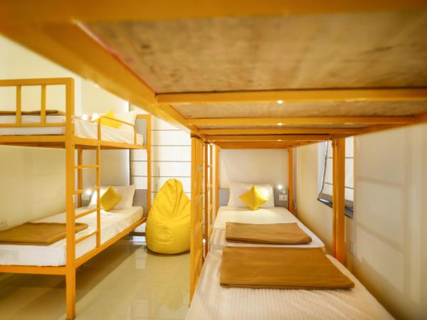 Zostel Jaipur : photo 3 de la chambre lit dans dortoir mixte de 8 lits