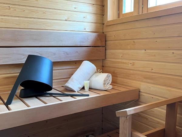 Hotel Golden Circle Suites : photo 7 de la chambre suite supérieure avec sauna