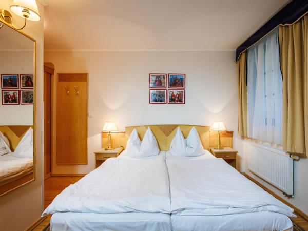 Hotel Maltezský Kříž : photo 4 de la chambre chambre double