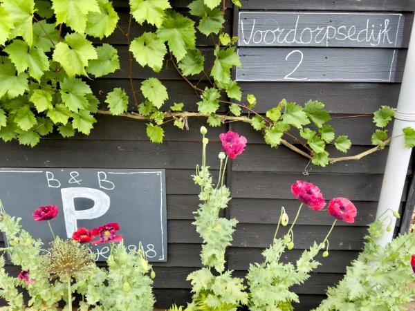 B en B Sluisje 1818 : photo 8 de la chambre chambre double ou lits jumeaux avec salle de bains privative