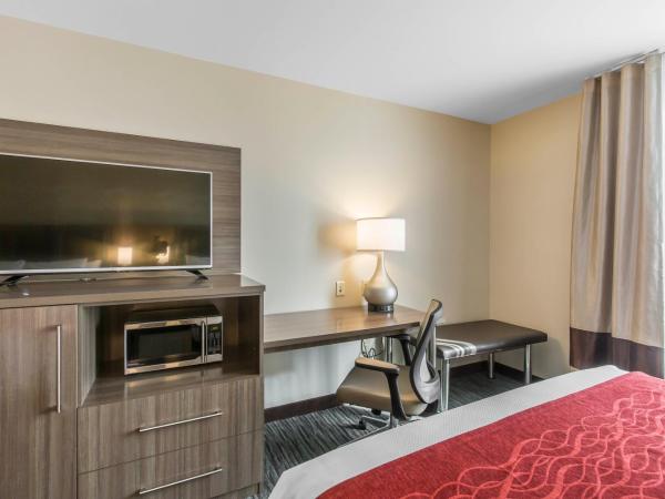 Comfort Inn & Suites Airport North : photo 3 de la chambre chambre lit king-size