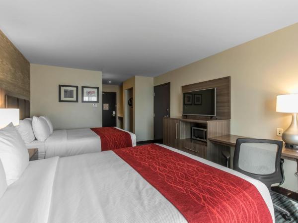 Comfort Inn & Suites Airport North : photo 4 de la chambre chambre avec 2 grands lits queen-size 