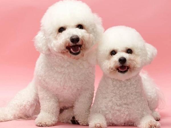 Hotel The Designers Cheongnyangni : photo 1 de la chambre chambre double