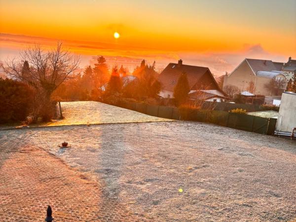 Phoenix Wellness Apartman Panzió : photo 2 de la chambre appartement