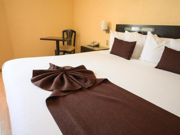 Hotel Santa Irene Guadalajara : photo 4 de la chambre chambre lit king-size