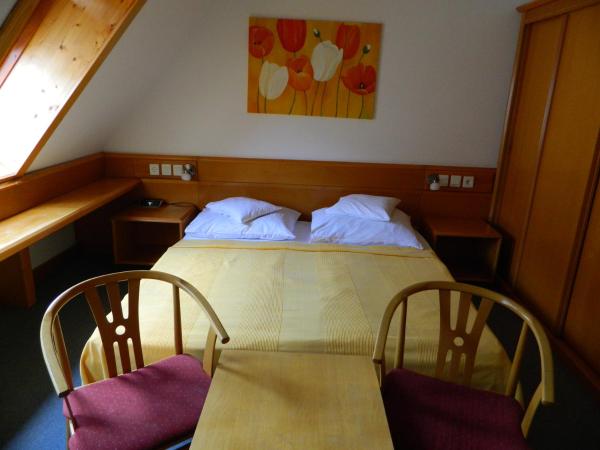 Hotel Kalma : photo 1 de la chambre chambre double avec lit d'appoint