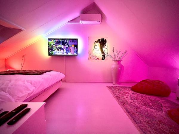 Private Art House next to the dunes, beach and forest : photo 6 de la chambre chambre quadruple deluxe