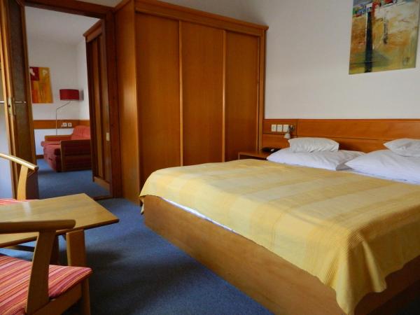 Hotel Kalma : photo 1 de la chambre appartement 1 chambre