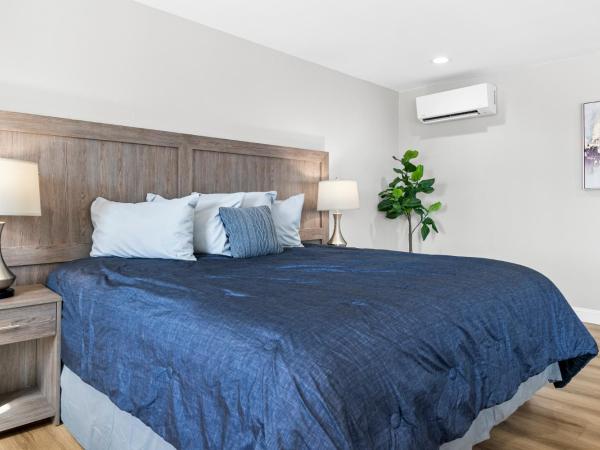 Serene Vegas Boutique Hotel Las Vegas : photo 3 de la chambre chambre lit king-size supérieure