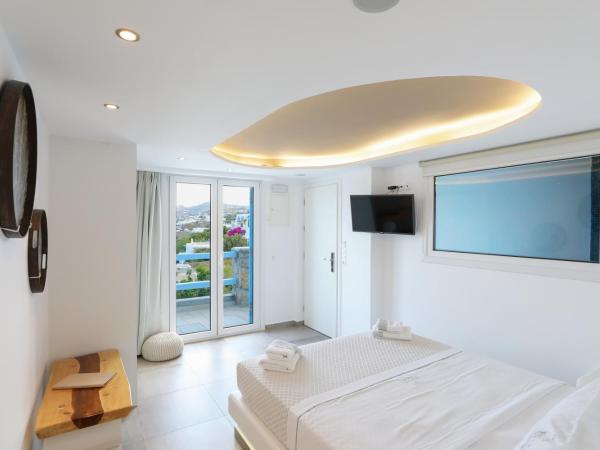 Ibiscus Boutique : photo 1 de la chambre suite junior avec jacuzzi intérieur