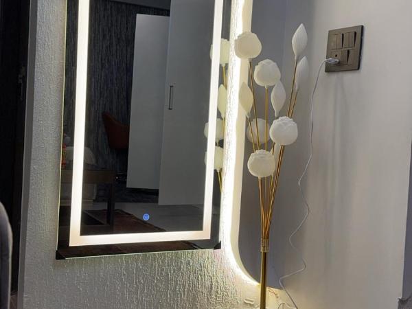 Spira supertech supernova sector 94 : photo 1 de la chambre studio supérieur