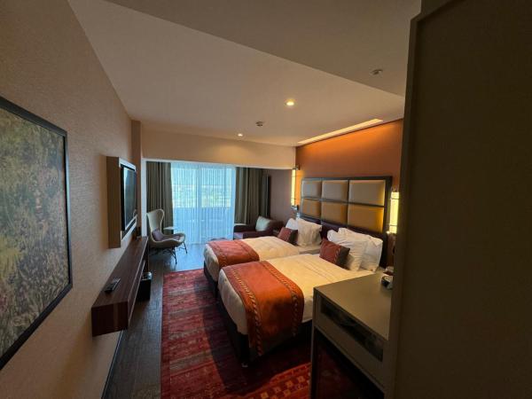 Sile Gonen Hotel : photo 3 de la chambre chambre lits jumeaux standard