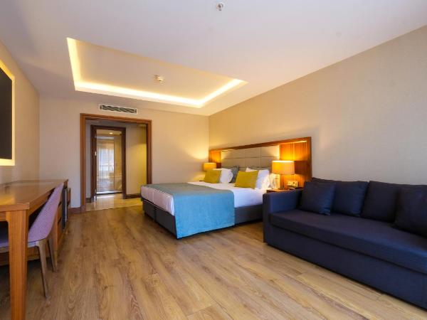 Endless Art Hotel-Special Category : photo 3 de la chambre chambre deluxe