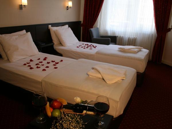 Diana Hotel : photo 4 de la chambre chambre double ou lits jumeaux