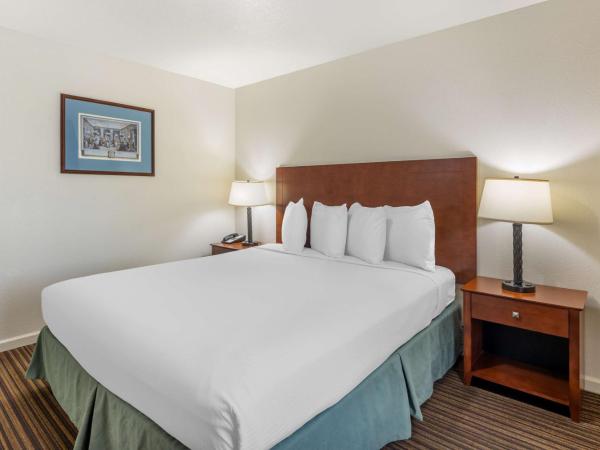 Best Western Capital City Inn : photo 3 de la chambre suite lit king-size avec cheminée