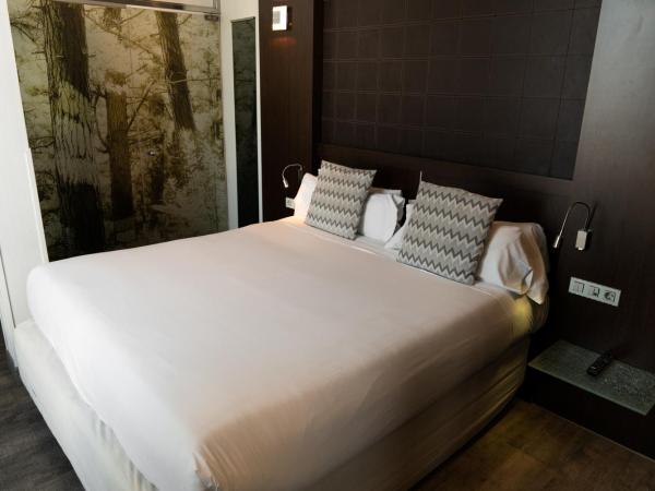 Petit Palace President Castellana : photo 1 de la chambre chambre double avec terrasse