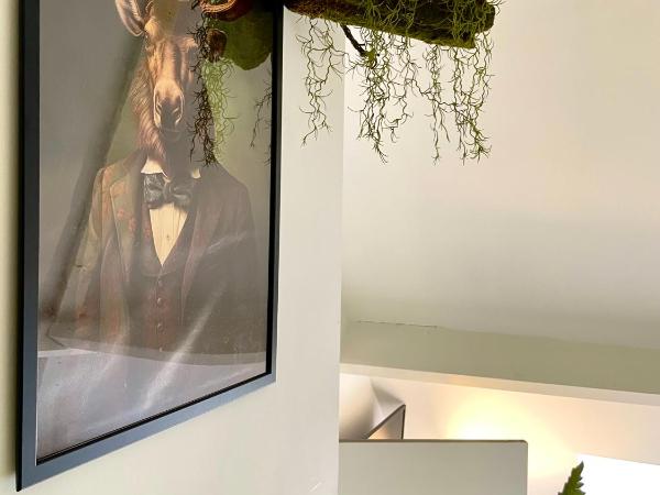 Maison Nelle Botanique - City Centre : photo 2 de la chambre studio supérieur