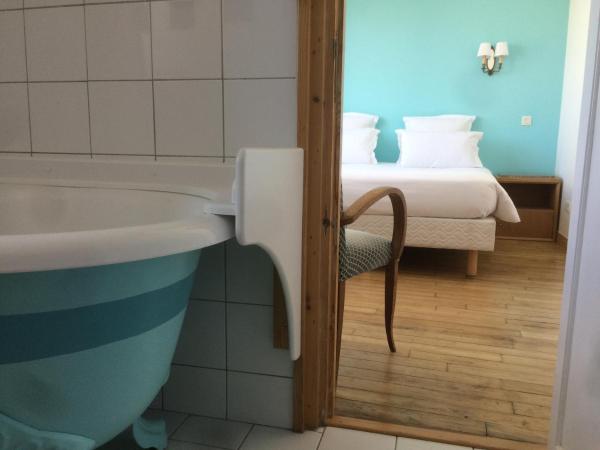 Hotel Particulier Richelieu : photo 4 de la chambre chambre double ou lits jumeaux