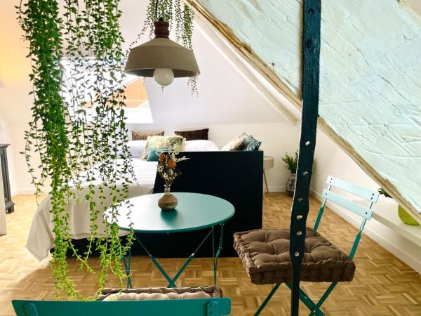 Maison Nelle Botanique - City Centre : photo 5 de la chambre studio supérieur