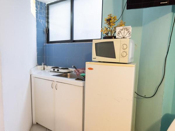 Satya Suites & Portal San Angel Flats : photo 2 de la chambre studio