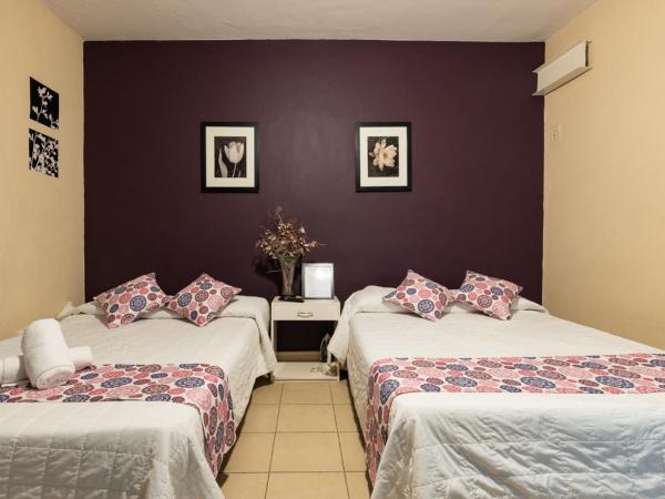 Satya Suites & Portal San Angel Flats : photo 2 de la chambre studio deluxe