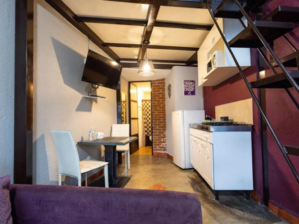 Satya Suites & Portal San Angel Flats : photo 2 de la chambre appartement en duplex