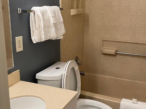 Sonesta Simply Suites Memphis : photo 7 de la chambre studio lit queen-size - non-fumeurs