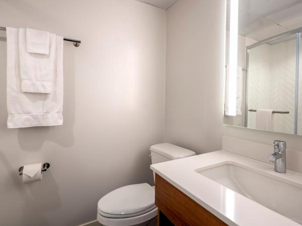 Holiday Inn New Orleans-Downtown Superdome, an IHG Hotel : photo 5 de la chambre chambre king standard avec vue sur ville