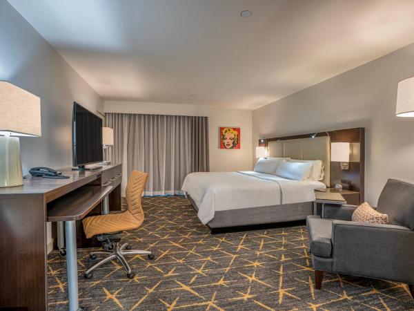 Holiday Inn New Orleans-Downtown Superdome, an IHG Hotel : photo 1 de la chambre chambre king standard avec vue sur ville