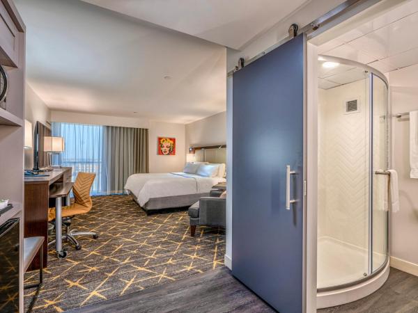 Holiday Inn New Orleans-Downtown Superdome, an IHG Hotel : photo 3 de la chambre chambre king standard avec vue sur ville