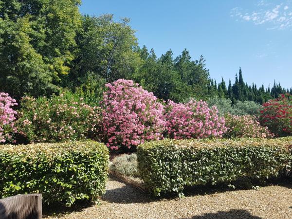 MAS DES FIGUES - Mas XVIII siècle - Piscine - très calme - Alpilles Saint Rémy de Provence - brunch méditerranéen salé sucré cuisine faite maison - ferme auberge agritourisme - Biologique FRBio potager bio huile d'olive bio jardin roseraie Biodiversité - : photo 4 de la chambre chambre double avec terrasse