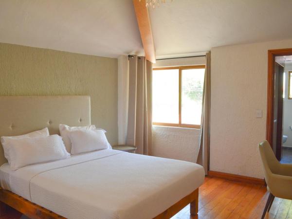 Casa Palmas : photo 1 de la chambre studio deluxe