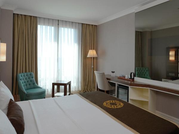 The Grand Mira Business Hotel : photo 2 de la chambre chambre double ou lits jumeaux supérieure