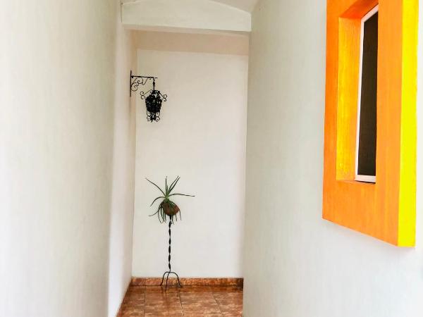 Casa Los Arquitos de Xochimilco : photo 8 de la chambre chambre double avec patio