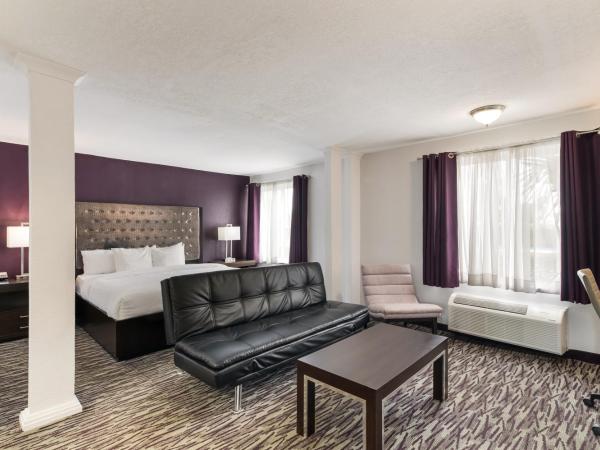 Clarion Inn & Suites Across From Universal Orlando Resort : photo 1 de la chambre suite lit king-size avec canapé-lit - non-fumeurs