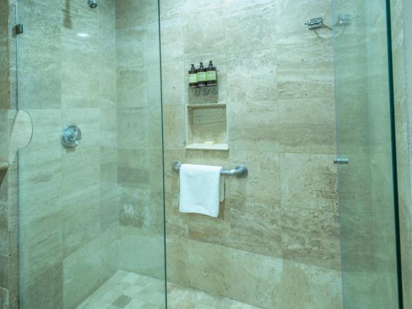 Fiesta Americana Puerto Vallarta All Inclusive & Spa : photo 2 de la chambre chambre lit king-size supérieure - vue partielle sur océan