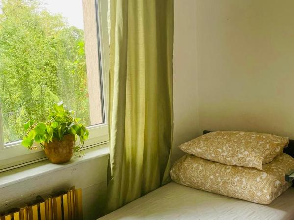 Hostel Tolek : photo 1 de la chambre grande chambre simple 