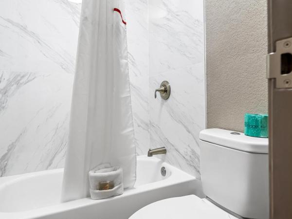 Red Roof Inn Tampa Fairgrounds - Casino : photo 8 de la chambre chambre deluxe avec 2 lits doubles - non-fumeurs