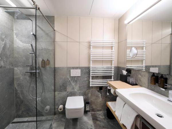 Hotel Steiermarkhof Graz : photo 2 de la chambre chambre double deluxe avec balcon