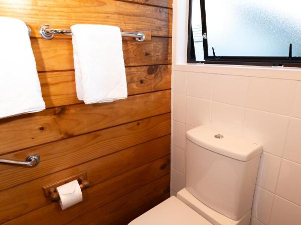 New Haven Motel : photo 6 de la chambre suite 1 chambre décloisonnée deluxe de style alpin