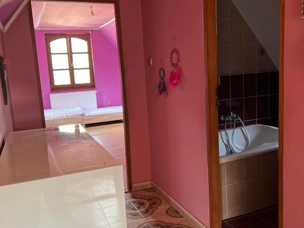 Bianka Hostel & Car Rent Budapest : photo 3 de la chambre chambre quadruple - vue sur jardin