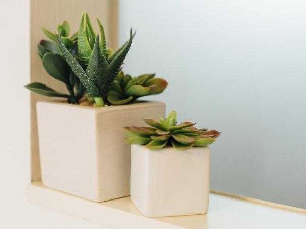 Bed à Cala : photo 8 de la chambre chambre double avec balcon - vue sur mer