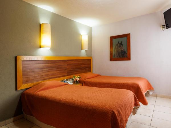 Hotel Qualitel Centro Histórico : photo 4 de la chambre chambre lits jumeaux standard