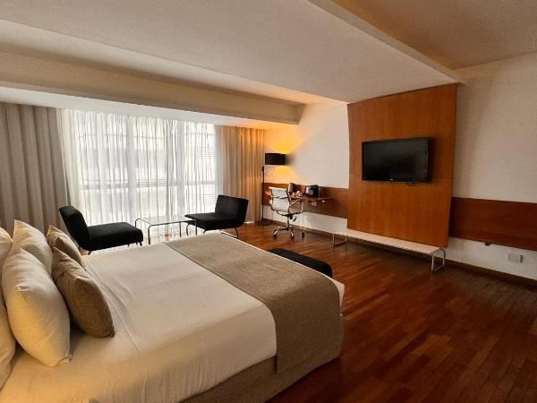 Design Suites Buenos Aires : photo 9 de la chambre studio deluxe