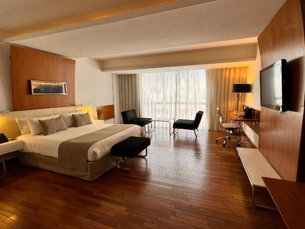 Design Suites Buenos Aires : photo 2 de la chambre studio deluxe