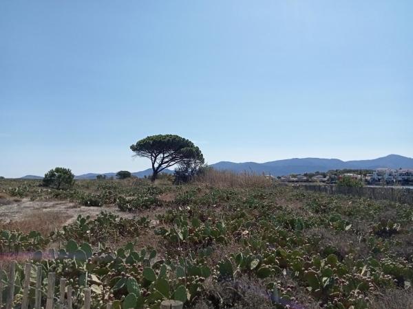 Le Mas Palegry Chambres d'hôtes Perpignan : photo 4 de la chambre chambre double
