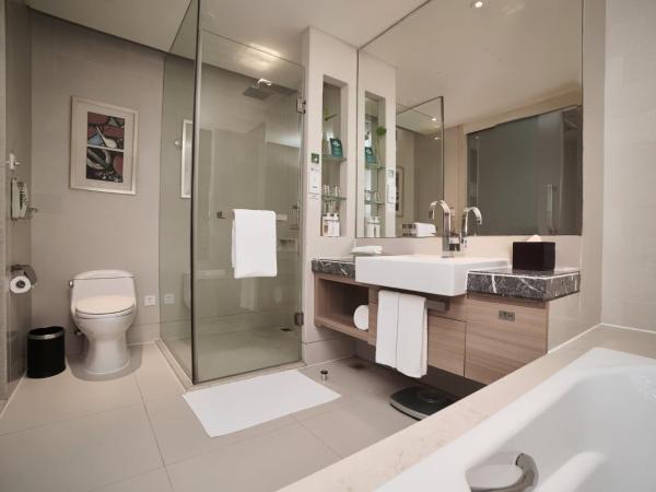 Holiday Inn Tianjin Riverside, an IHG Hotel : photo 8 de la chambre suite junior lit king-size